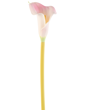 De Kunstbloem Calla 64 cm blush, een enkele roze en witte calla lelie met een gele steel, wordt getoond tegen een effen witte achtergrond.