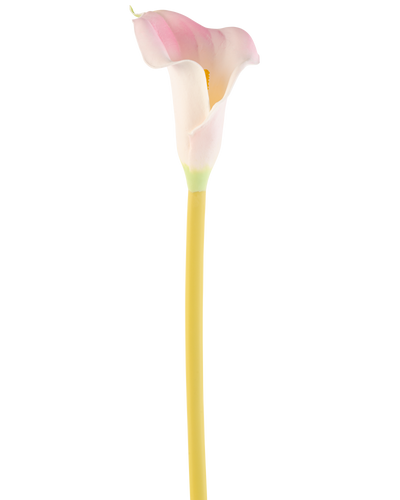 De Kunstbloem Calla 64 cm blush, een enkele roze en witte calla lelie met een gele steel, wordt getoond tegen een effen witte achtergrond.