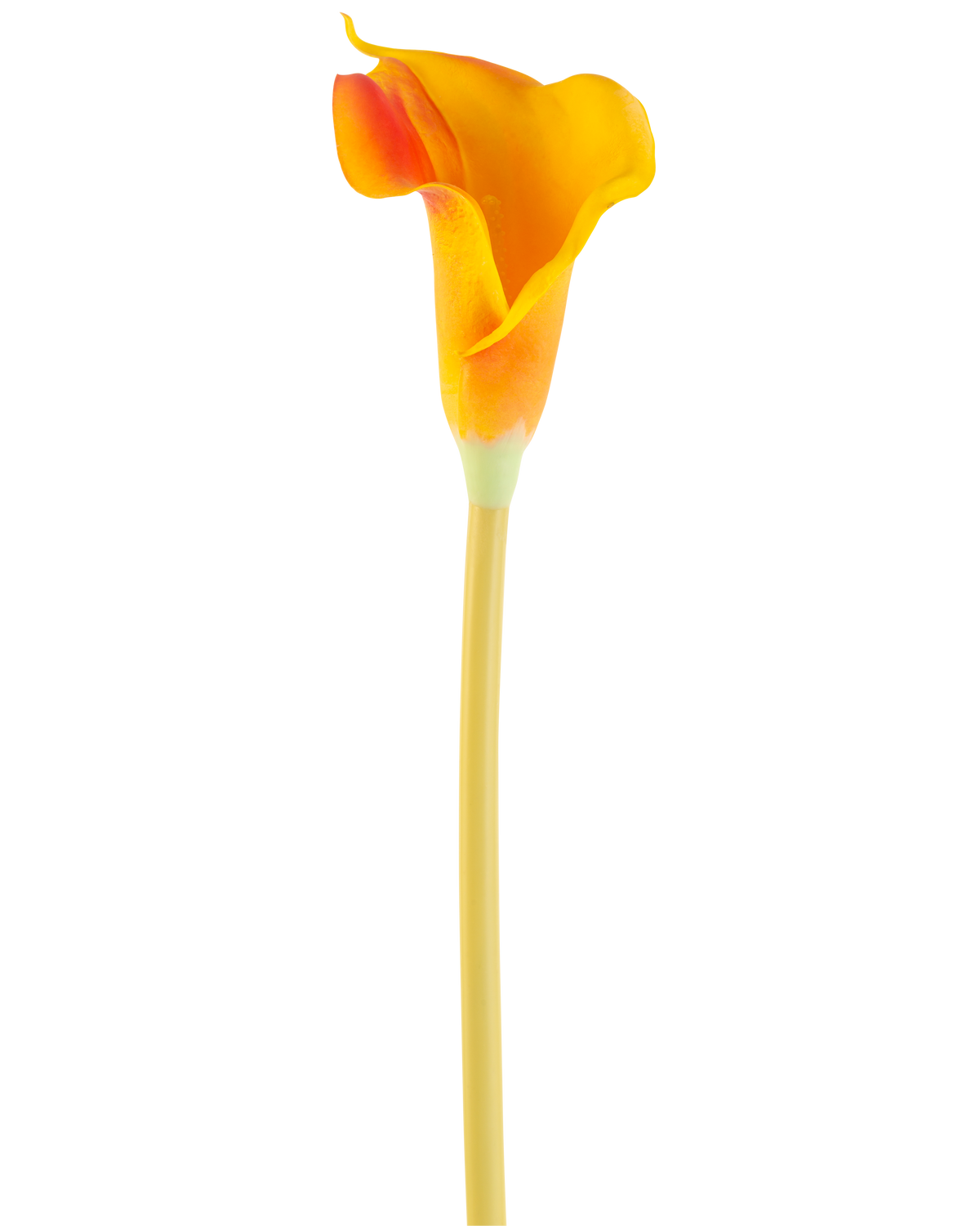 The Artificial Flower Calla 64 cm orange has a single orange calla lily with a long, slender stem, isolated on a white background.