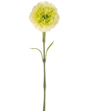 De Kunstbloem Anjer 57 cm lichtgroen is een kunstmatige lichtgroene anjer met ruches in de bloemblaadjes en een lange steel, afgebeeld tegen een effen witte achtergrond.
