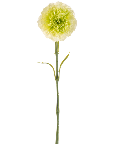 De Kunstbloem Anjer 57 cm lichtgroen is een kunstmatige lichtgroene anjer met ruches in de bloemblaadjes en een lange steel, afgebeeld tegen een effen witte achtergrond.