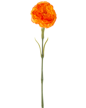 De Kunstbloem Anjer 57 cm oranje is een kunstmatige oranje anjer met ruches in de bloemblaadjes en een lange groene steel, geïsoleerd afgebeeld op een witte achtergrond.