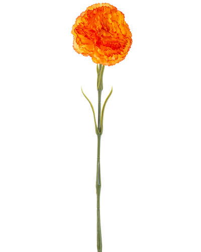 De Kunstbloem Anjer 57 cm oranje is een kunstmatige oranje anjer met ruches in de bloemblaadjes en een lange groene steel, geïsoleerd afgebeeld op een witte achtergrond.