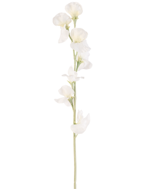 Een enkele Kunstbloem Erwt 64 cm crème heeft meerdere delicate crèmewitte bloesems op lichtgroene stelen, tegen een effen witte achtergrond.