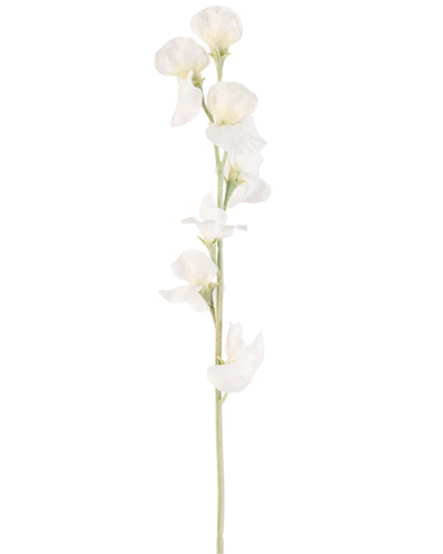 Een enkele Kunstbloem Erwt 64 cm crème heeft meerdere delicate crèmewitte bloesems op lichtgroene stelen, tegen een effen witte achtergrond.