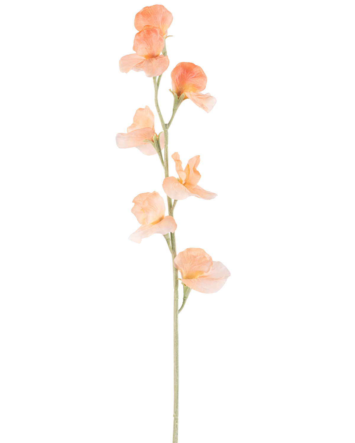 A single Artificial Flower Pea 64 cm peach has a light peach colored artificial pea with ruffles in the petals and a green stem, isolated on white.