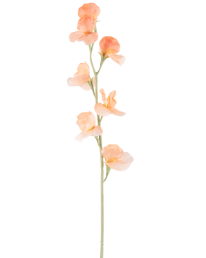 Een enkele Kunstbloem Erwt 64 cm perzik heeft een licht perzikkleurige kunsterwt met ruches in de bloemblaadjes en een groene stengel, geïsoleerd op wit.