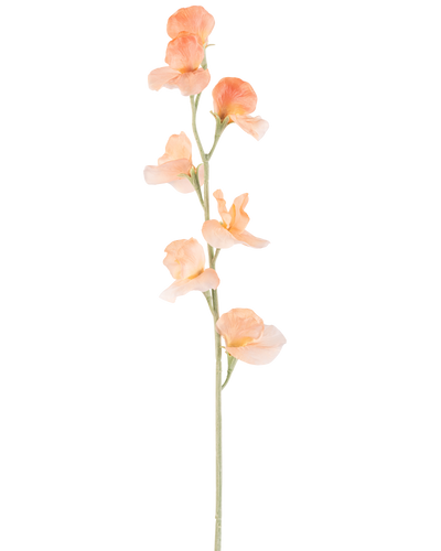 Een enkele Kunstbloem Erwt 64 cm perzik heeft een licht perzikkleurige kunsterwt met ruches in de bloemblaadjes en een groene stengel, geïsoleerd op wit.