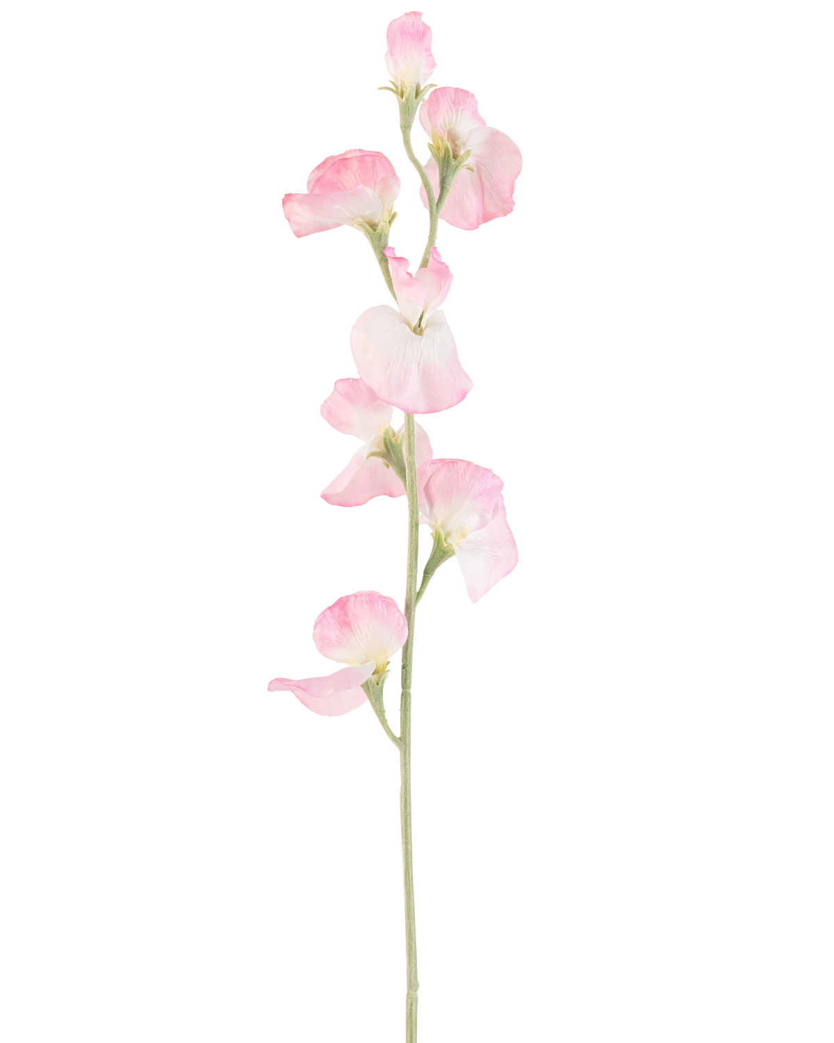 A single Artificial Pea flower, 64 cm high with light pink petals and a light green stem, isolated on a white background.