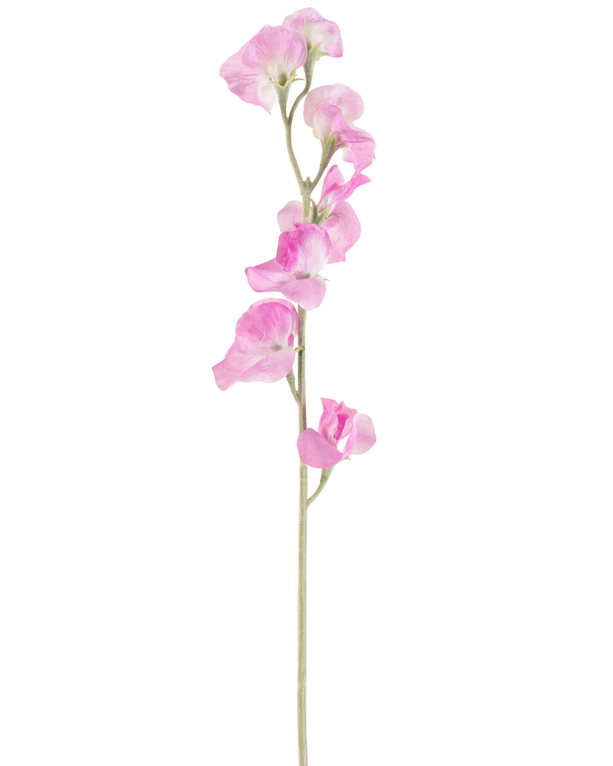 A single Artificial Flower Pea 64 cm pink has delicate, ruffle pink petals and a light green stem, against a plain white background.