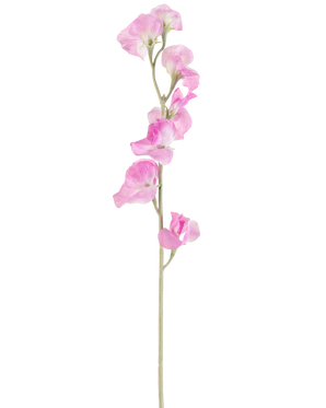 Een enkele Kunstbloem Erwt 64 cm roze heeft delicate, ruche roze bloemblaadjes en een lichtgroene steel, tegen een effen witte achtergrond.