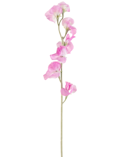 Een enkele Kunstbloem Erwt 64 cm roze heeft delicate, ruche roze bloemblaadjes en een lichtgroene steel, tegen een effen witte achtergrond.