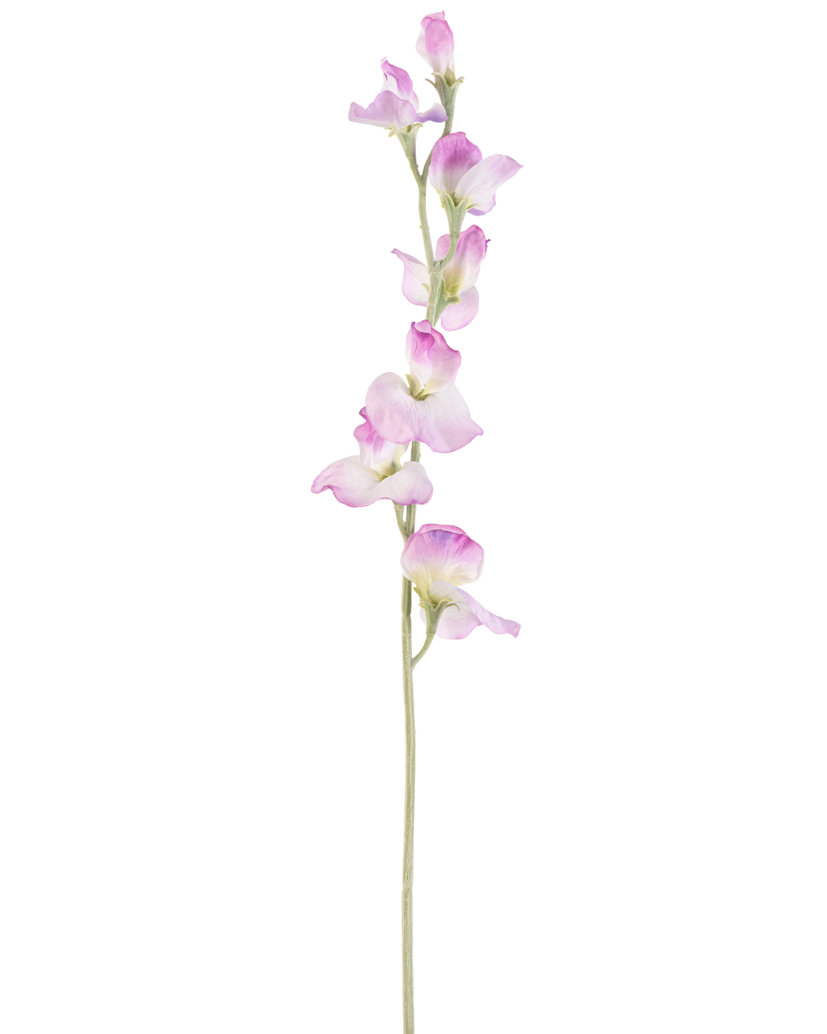 A single long Artificial Pea flower 64 cm purple stem with delicate purple flowers arranged vertically, against a plain white background.