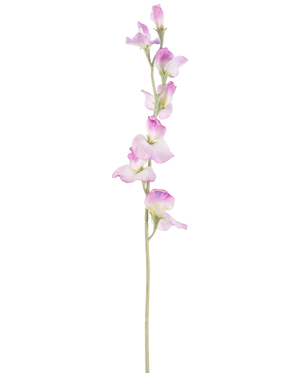Een enkele lange Kunstbloem Erwt 64 cm paars steel met delicate paarse bloemen verticaal gerangschikt, tegen een effen witte achtergrond.