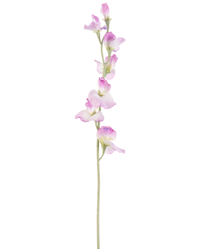 Een enkele lange Kunstbloem Erwt 64 cm paars steel met delicate paarse bloemen verticaal gerangschikt, tegen een effen witte achtergrond.