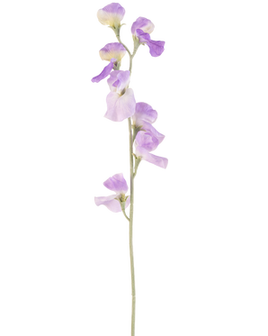Een enkele Kunstbloem Erwt 64 cm lila met delicate lichtpaarse bloemblaadjes en groene bladeren, geïsoleerd op een witte achtergrond.