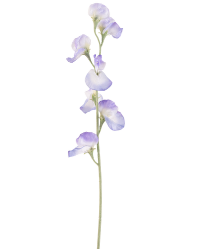 Een enkele Kunstbloem Erwt 64 cm lavendel, met meerdere delicate lichtpaarse bloesems en groene stelen, geïsoleerd op een witte achtergrond.