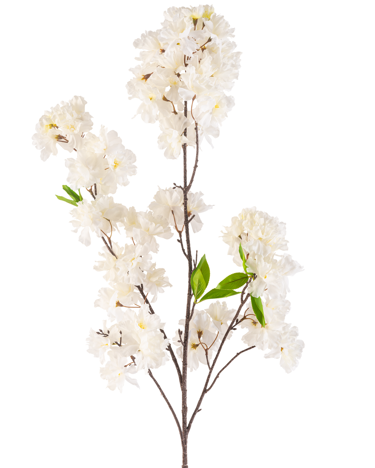 An Artificial Cherry Blossom Flower 119 cm cream with clusters of delicate white blossoms and a few bright green leaves on slender brown stems, isolated on a white background.