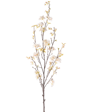 De Kunstbloem Kersenbloesem 150 cm crème heeft een hoge tak met verschillende dunne stelen, kleine witte kersenbloesem bloemen en verspreide groene bladeren, allemaal tegen een effen witte achtergrond.