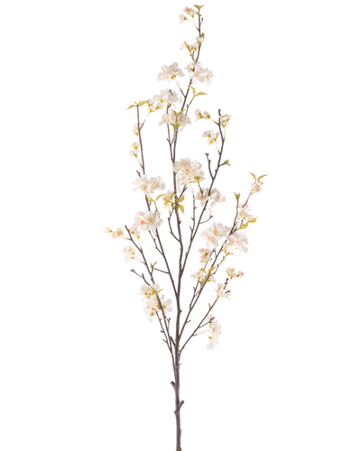 De Kunstbloem Kersenbloesem 150 cm crème heeft een hoge tak met verschillende dunne stelen, kleine witte kersenbloesem bloemen en verspreide groene bladeren, allemaal tegen een effen witte achtergrond.