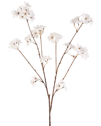 De Kunstbloem Kersenbloesem 114 cm crème heeft een bruine steel die zich vertakt in kleinere stelen, elk versierd met delicate kunstbloemen in een roomwitte tint, tegen een effen witte achtergrond.