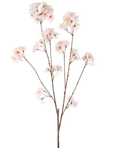 De Kunstbloem Kersenbloesem 114 cm blush heeft een enkele bruine steel met verschillende takken met daarop delicate, blushroze kersenbloesem bloemen, prachtig geïsoleerd op een witte achtergrond.