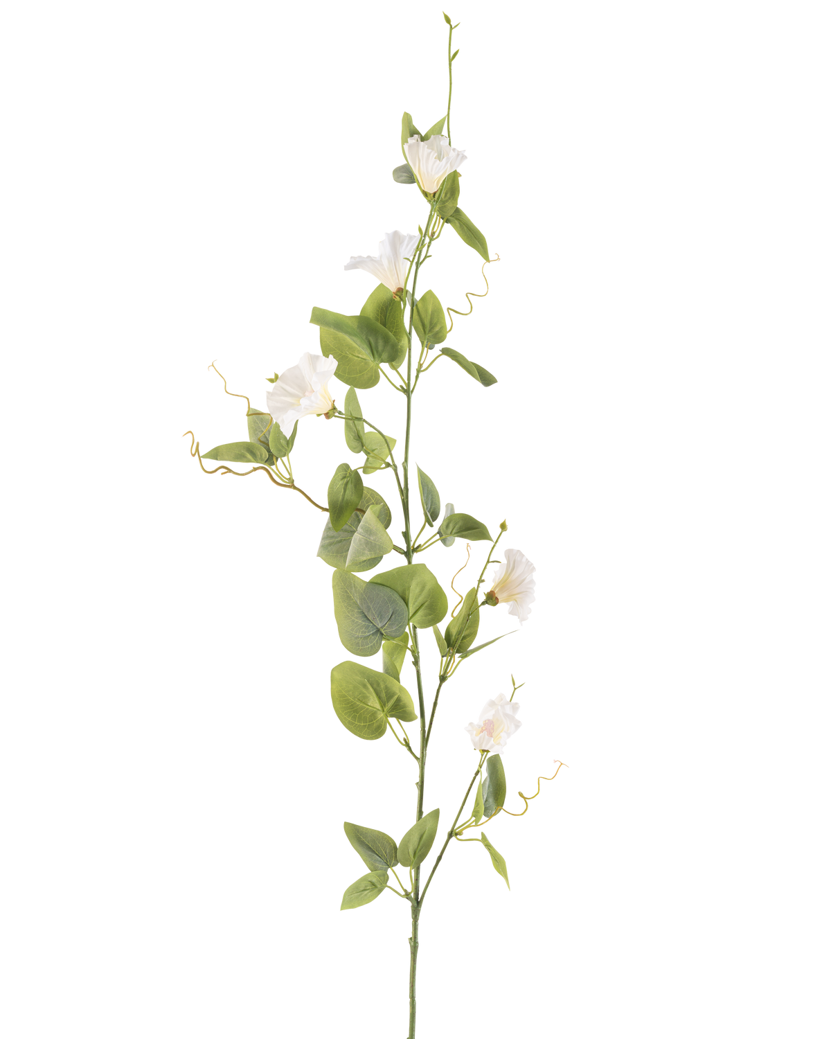 The Artificial Flower Bindweed 122 cm white has a single stem with small white flowers, green leaves and curled tendrils against a plain white background.