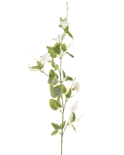 De Kunstbloem Winde 122 cm wit heeft een enkele steel met kleine witte bloemen, groene bladeren en gekrulde ranken tegen een effen witte achtergrond.