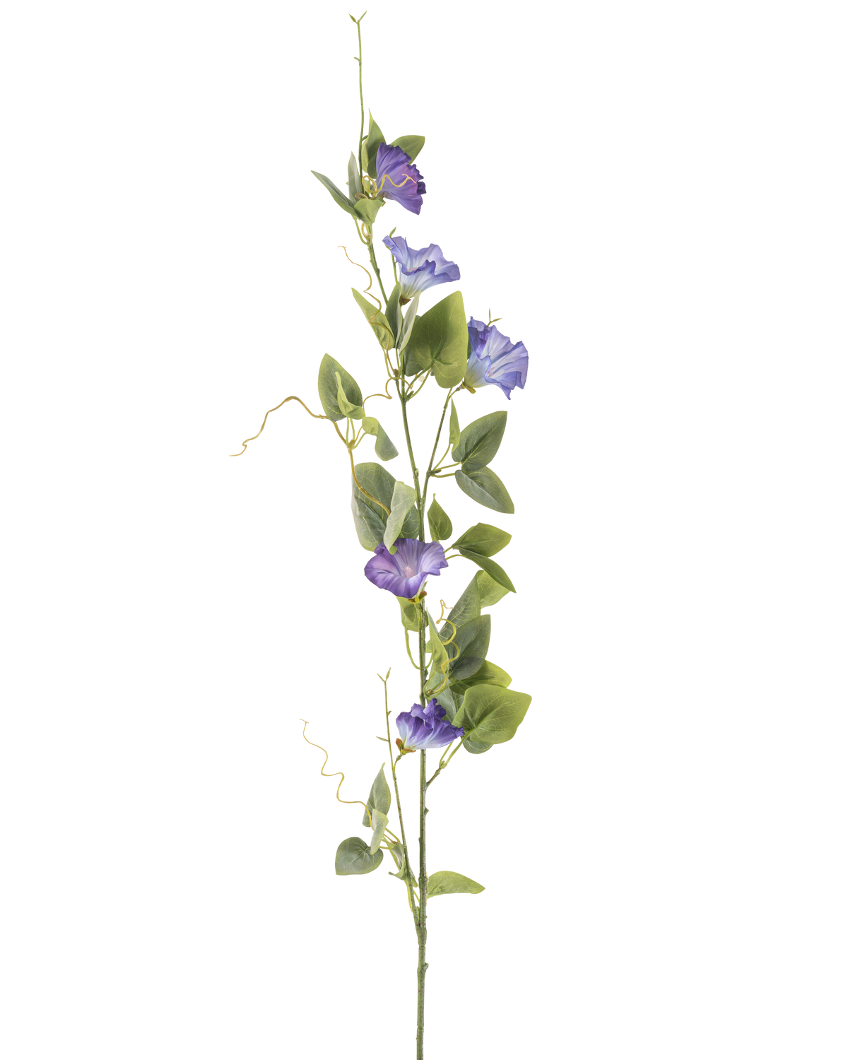 The Artificial Flower Bindweed 122 cm purple has a long green stem with several green leaves and purple, trumpet-shaped artificial flowers, arranged vertically against a plain white background.