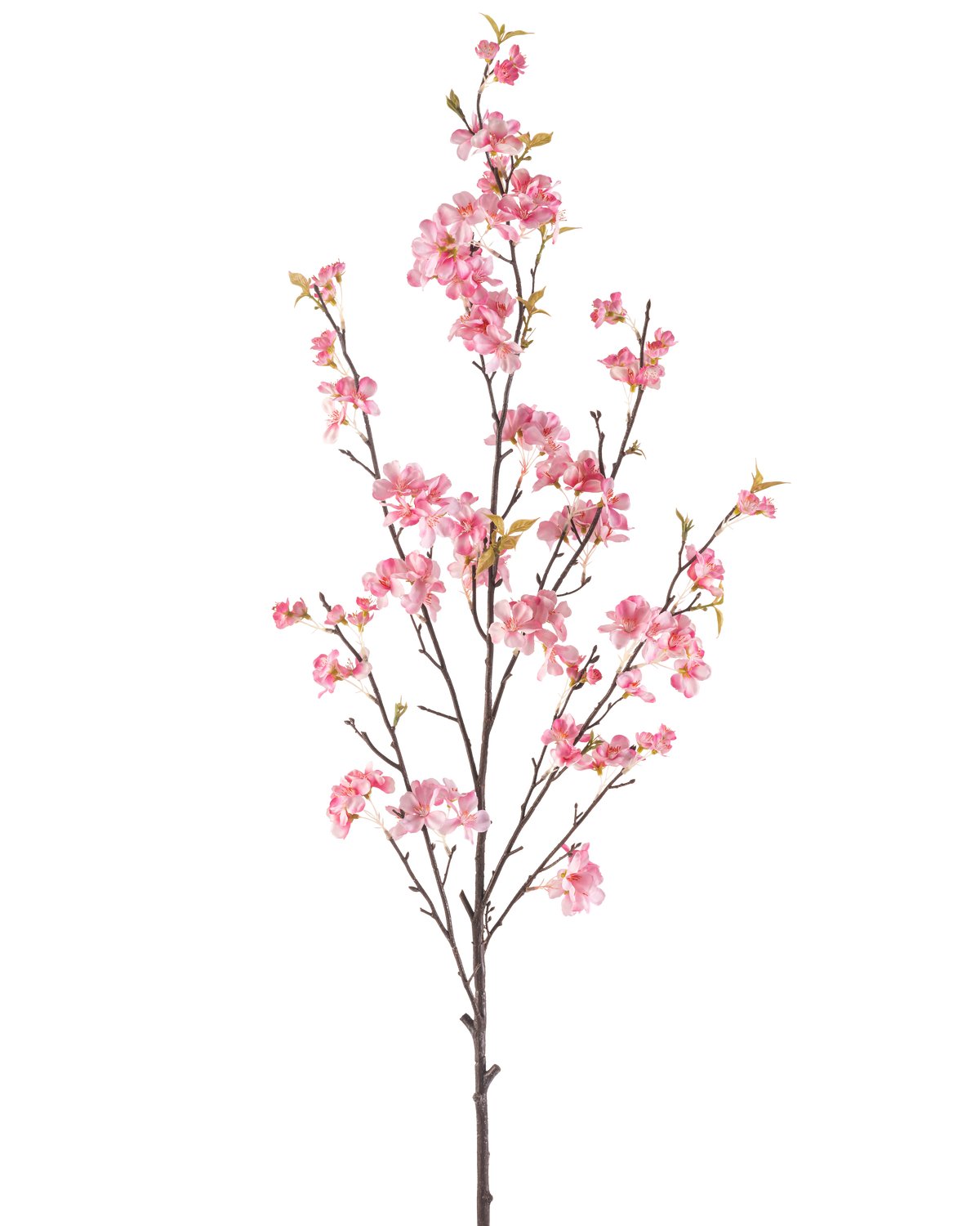 The Artificial Flower Cherry Blossom 150 cm pink has a single brown branch with multiple thin stems, decorated with bunches of delicate pink cherry blossoms and a few green leaves, isolated on a white background.