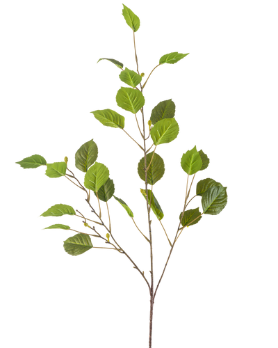 De Kunsttak 118 cm groen is een enkele dunne tak met meerdere groene bladeren en kleine knoppen, geïsoleerd op een witte achtergrond.