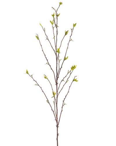 De Kunsttak Winterzoet 107 cm groen heeft een enkele kale tak met dunne takjes en kleine groene blaadjes aan de uiteinden, tegen een effen witte achtergrond.