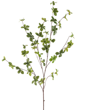 De Kunstbloem Enkianthus 119 cm groen heeft een enkele, slanke tak met meerdere uitlopers en kleine, levendige groene bladeren, geïsoleerd op een witte achtergrond.