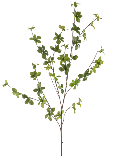 De Kunstbloem Enkianthus 119 cm groen heeft een enkele, slanke tak met meerdere uitlopers en kleine, levendige groene bladeren, geïsoleerd op een witte achtergrond.