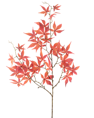 Het Kunstbloem Esdoornblad 109 cm rood heeft meerdere dunne takjes versierd met levendige rode, stervormige esdoornbladeren, prachtig weergegeven tegen een effen witte achtergrond.