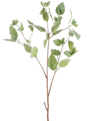 Het Kunsttak Muntblad 97 cm groen heeft meerdere dunne stelen met groene ovale bladeren tegen een effen witte achtergrond.