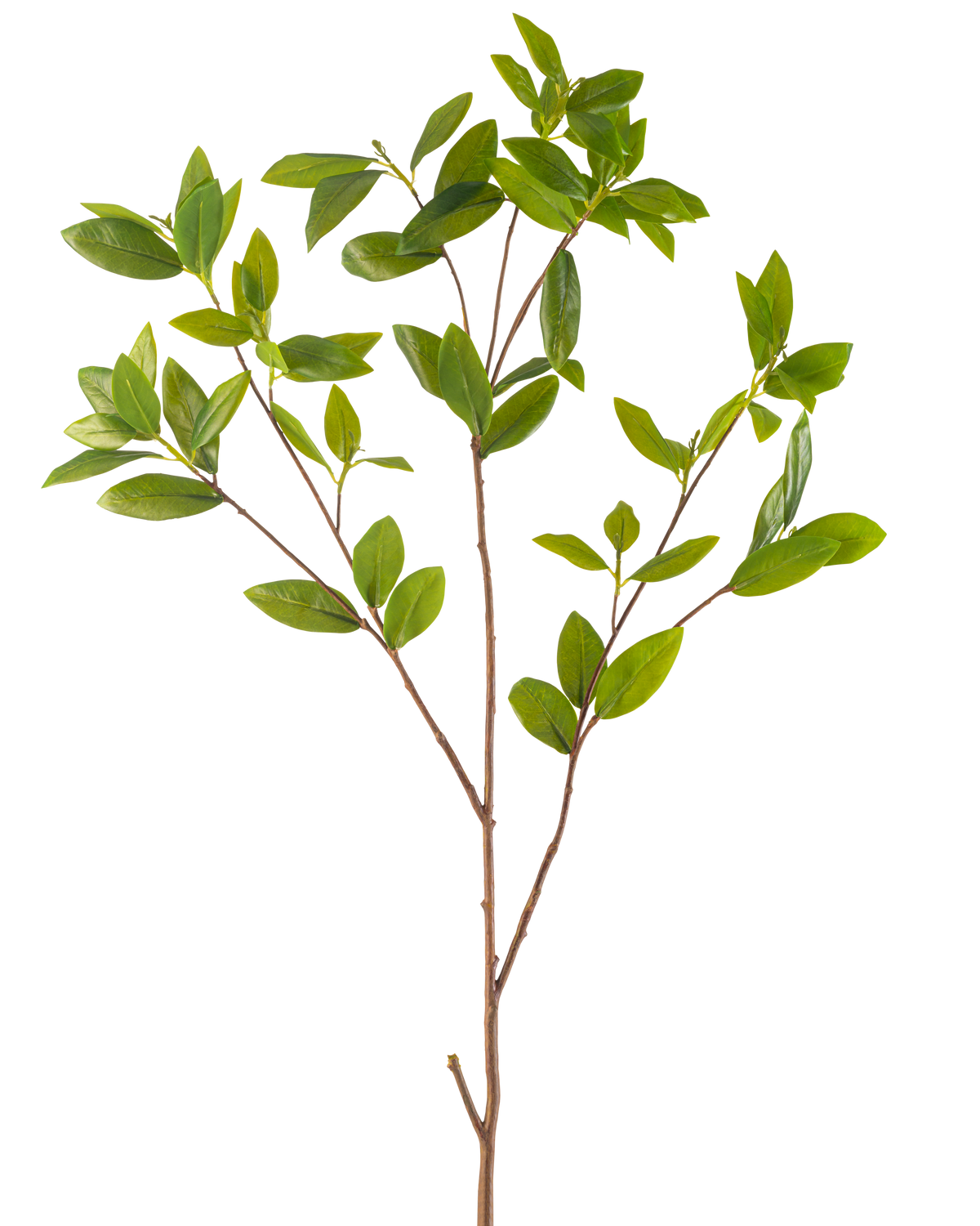 The Artificial Branch Leaves 117 cm green has a slender artificial branch with multiple offshoots, each with bunches of smooth green leaves, against a plain white background.