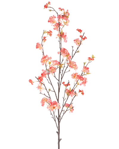 De Kunstbloem Kersenbloesem 150 cm perzik heeft een enkele hoge tak met meerdere dunne stengels, versierd met trosjes kleine roze en rode bloesems en een paar groene bladeren, tegen een effen witte achtergrond.