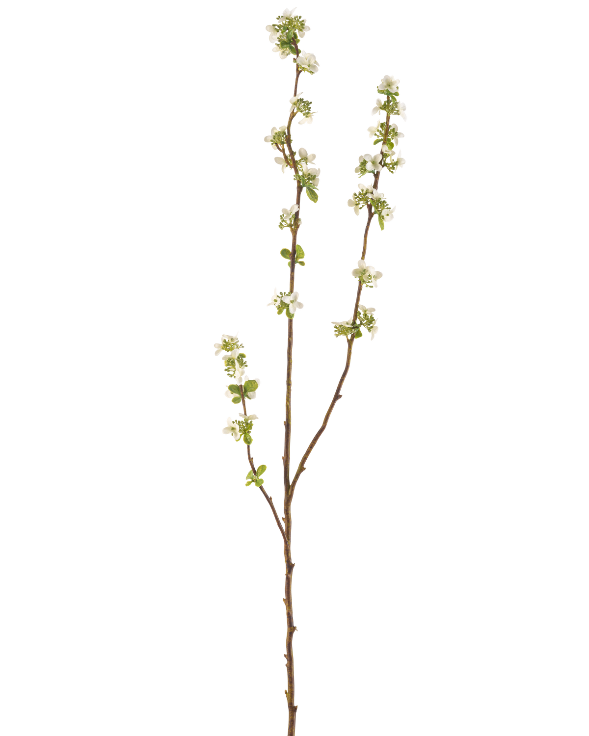 The Artificial Branch Seed Box 104 cm cream has a single brown branch with small green leaves and bunches of small white flowers against a plain white background.