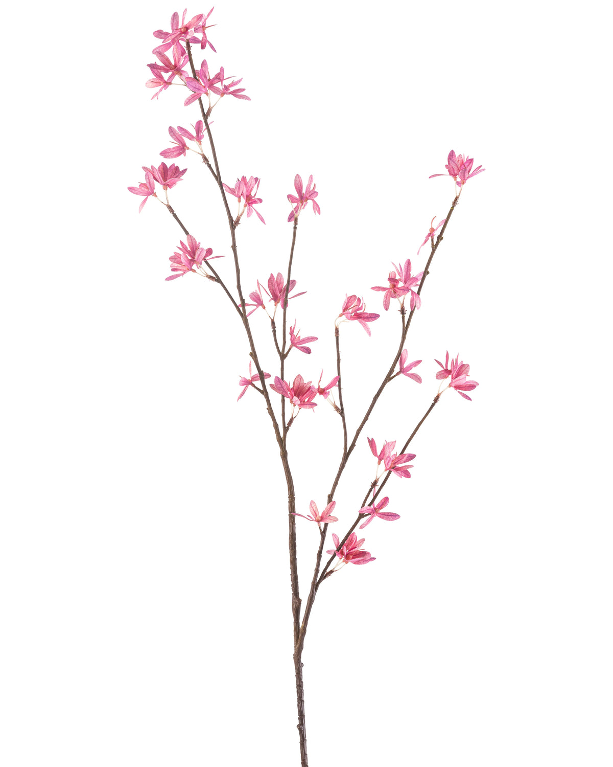 The Artificial Flower Wildflowers 112 cm fuchsia has a single branch with multiple offshoots, with delicate fuchsia flowers against a white background.