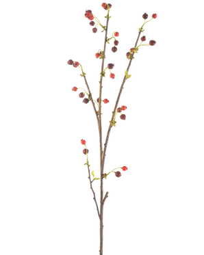De Kunstbloem Rozenbottel 112 cm rood heeft een enkele bruine tak met kleine rode en donkerpaarse besjes en een paar lichtgroene blaadjes, tegen een effen witte achtergrond.