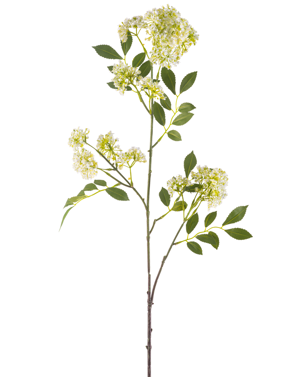 The Artificial Flower Wild Carrot 102 cm cream has a single high stem with bunches of small cream flowers and several green, serrated leaves against a white background.