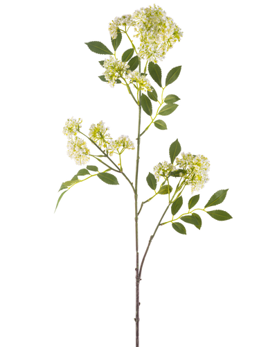 De Kunstbloem Wilde peen 102 cm crème heeft een enkele hoge steel met trosjes kleine crème bloemen en verschillende groene, gekartelde bladeren tegen een witte achtergrond.