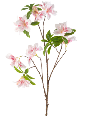 De Kunstbloem Begonia 99 cm blush heeft een enkele tak met meerdere bloesemroze en witte begonia bloemen en trosjes groene bladeren tegen een witte achtergrond.