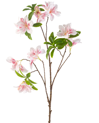 De Kunstbloem Begonia 99 cm blush heeft een enkele tak met meerdere bloesemroze en witte begonia bloemen en trosjes groene bladeren tegen een witte achtergrond.