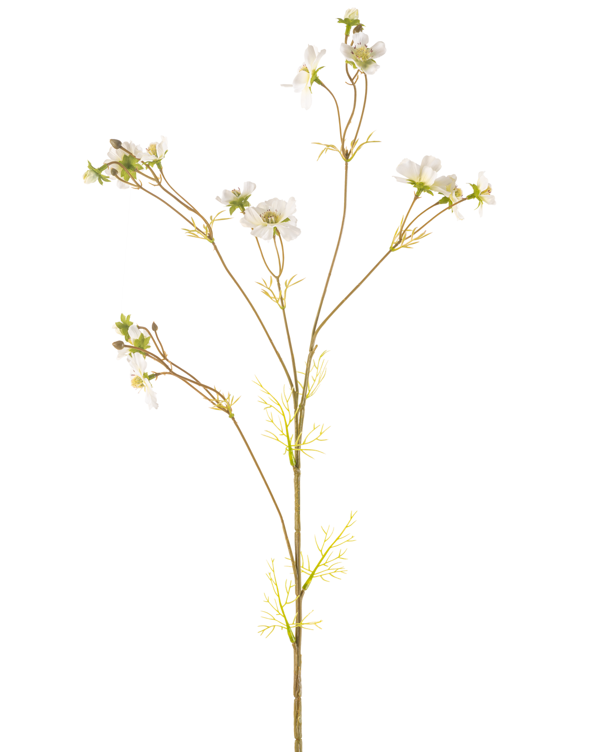 The Artificial Flower Cosmos 95 cm cream is a tall, delicate artificial plant with thin stems, small green leaves and bunches of small white flowers with a yellow heart, depicted against a plain white background.