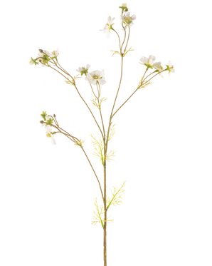 De Kunstbloem Cosmos 95 cm crème is een hoge, delicate kunstplant met dunne stengels, kleine groene blaadjes en trosjes kleine witte bloemen met een geel hart, afgebeeld tegen een effen witte achtergrond.