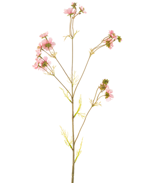 Een Kunstbloem Cosmos 95 cm roze heeft een enkele hoge steel met meerdere dunne takken, elk versierd met trossen tere roze bloemen en lichtgroene bladeren, tegen een effen witte achtergrond.