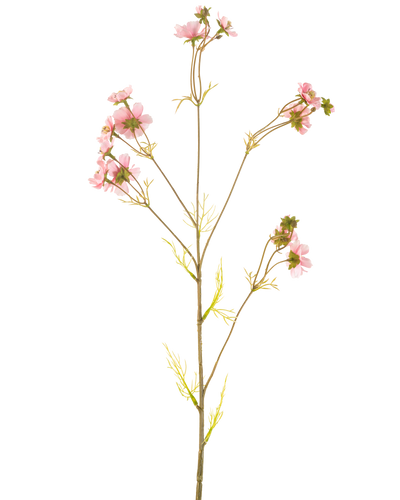 Een Kunstbloem Cosmos 95 cm roze heeft een enkele hoge steel met meerdere dunne takken, elk versierd met trossen tere roze bloemen en lichtgroene bladeren, tegen een effen witte achtergrond.