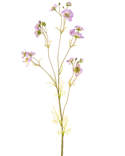 De Kunstbloem Cosmos 95 cm lila heeft een tere steel met meerdere lichtpaarse bloemen en kleine groene blaadjes, prachtig tegen een effen witte achtergrond.